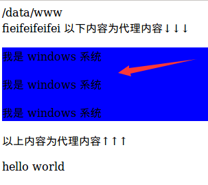 正向代理