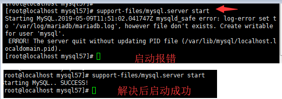 mysql start