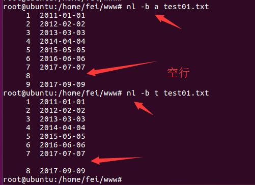 root passwd
